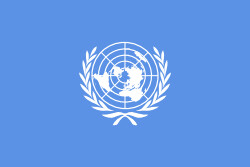 Foto bandiera ONU