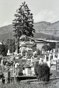 uno dei cimiteri tra le case, a Sarajevo.