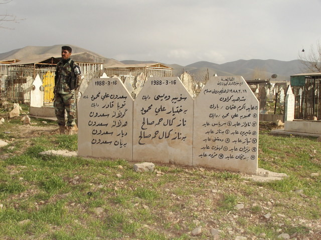 Un particolare del cimitero di Halabja (Kurdistan iracheno). L'<i>Anfal</i>, ovvero lo sterminio sistematico del popolo curdo, provocò 182 mila tra uccisi e "desaparecidos", in maggioranza maschi, e la distruzione di 5000 villaggi. Saddam Hussein è adess