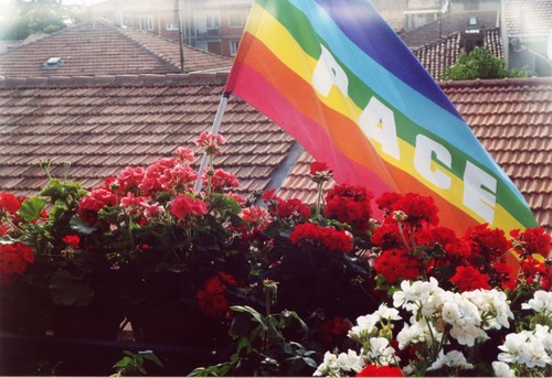 il mio balcone con bandiera della pace e fiori, Gianna da Ferrara 