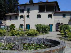 La vasca in giardino abitata da numerosi pesciolini!