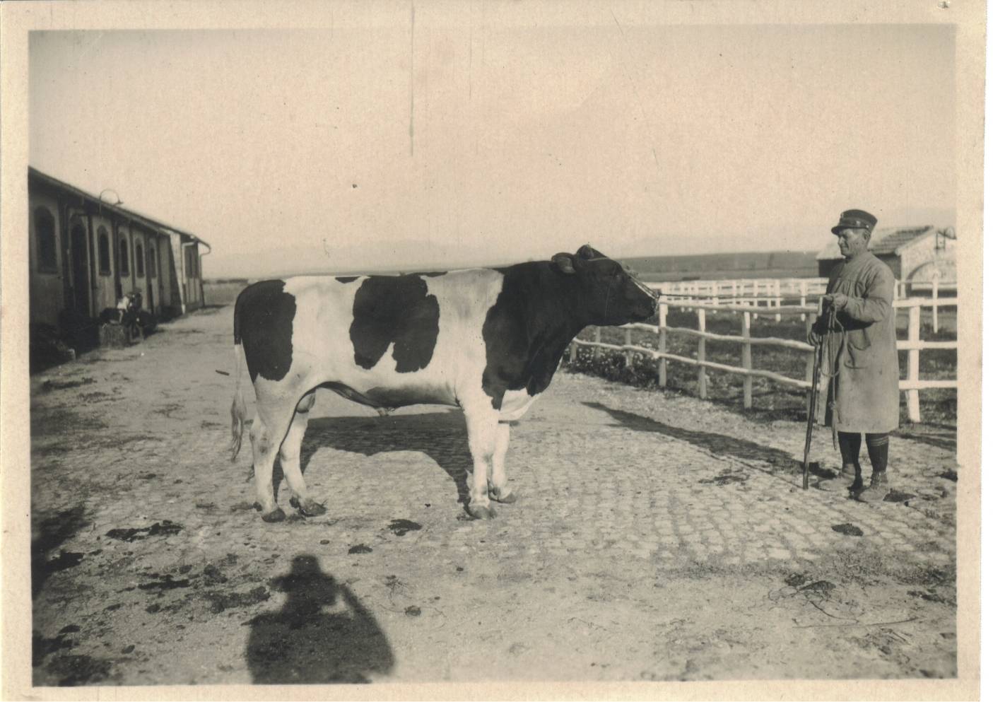 Tenuta di Tor Mancina, 1944. Passacantilli Vincenzo, capo dei vaccari mungitori, che ha distribuito latte ai militari alla macchia, occultando armi e derrate agricole.