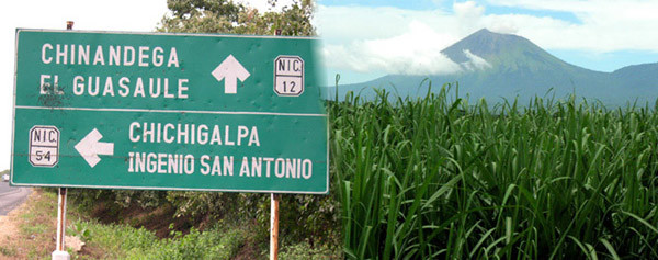 Piantagioni di canna da zucchero dell'Ingenio San Antonio - Chichigalpa - Nicaragua
