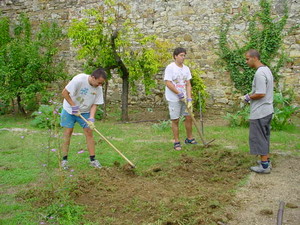 Momento di lavoro in giardino