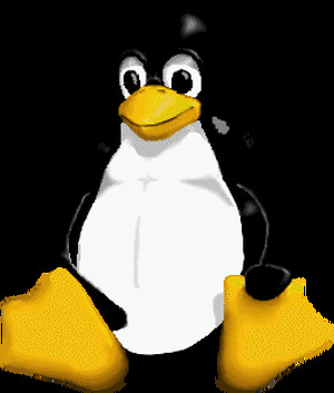 Il pinguino, simbolo di LInux