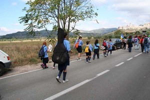 Da Perugia ad Assisi, tutti i diritti umani per tutti Un Branco in cammino verso Assisi