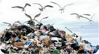 Incontro a Lizzano: Il punto sul ciclo dei rifiuti