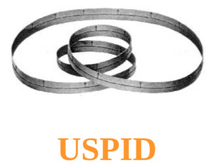 Logo USPID c/o Università di Pisa