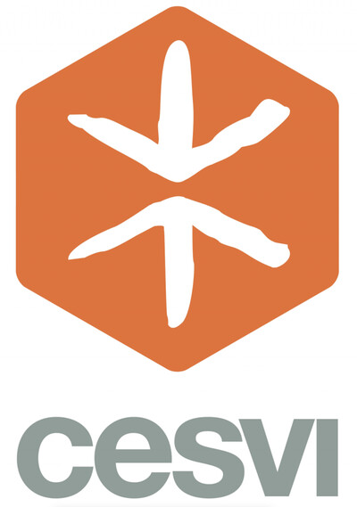 Logo Cesvi